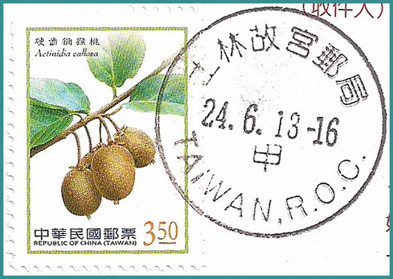 TW_士林故宫邮局-猕猴桃.jpg