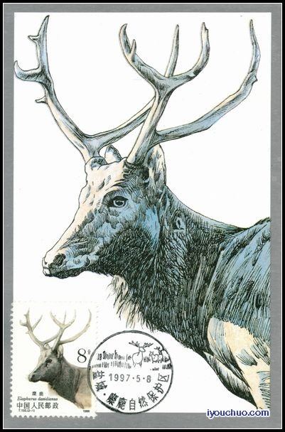 1988年麋鹿盖1997年首日盐城麋鹿保护区戳.jpg