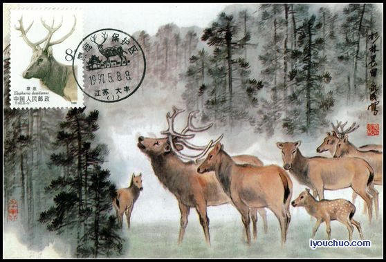 麋鹿极限片盖1997年麋鹿保护区首发纪念戳 10全2.jpg