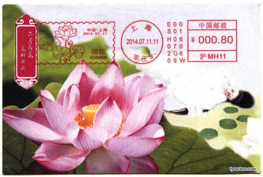 (邮资机)上海14.7.11荷花片1.jpg