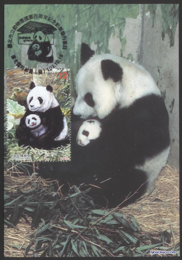 台湾大熊猫-1.JPG