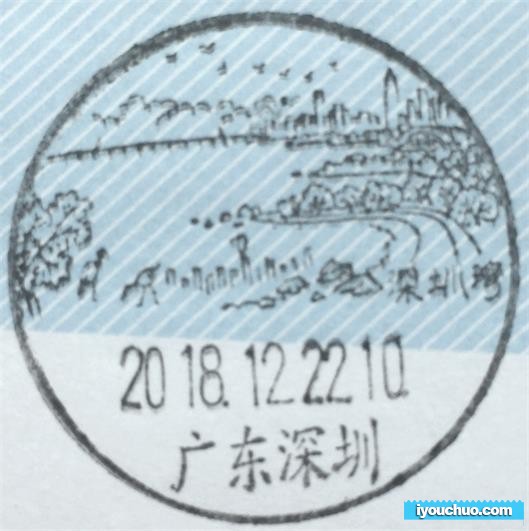 深圳湾.jpg